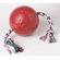 Jolly Pets Romp And Roll Ball