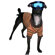 Hip Doggie Big Dog Ski Dog Turtleneck in Gold