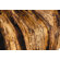 ARTERIORS Home Ashland Dragon Tree Floor Lamp