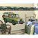 4 Walls Whimisical Wall Jungle Mural Style Border in Multi