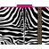 Barker Creek & Lasting Lessons Functional File Folders Zebra