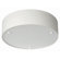 Philips Forecast Lighting Basal 2 Light Ceiling Lamp