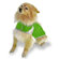 Scooter's Friends Inc Spring Slicker Dog Coat in Lime Sherbet