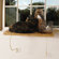 Meow Town Cat Window Perch