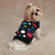 East Side Collection Electric Knit Dog Sweater
