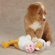 Zanies Silly Stork Dog Toy