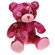 Zanies Kiss N' Cuddle Bear Dog Toy