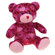 Zanies Kiss N' Cuddle Bear Dog Toy