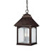 Lodge Outdoor Hanging Lantern in Rustic Iron