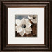 Magnolias I / II Framed Art (Set of 2)