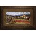 Hillside Olives Framed Art