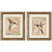 Hummingbird I / II Framed Art (Set of 2)