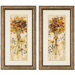 Posies I / II Framed Art (Set of 2)
