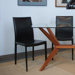 Pavia Side Chair (Set of 2)
