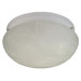 13W 2 Light Flush Mount