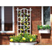 London Trellis