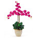 Triple Phalaenopsis Silk Orchid Arrangement in Beauty Pink