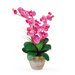 Double Phalaenopsis Silk Orchid Arrangement in Dark Pink