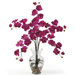 Liquid Illusion Phalaenopsis Silk Orchid Arrangement in Beauty Pink