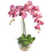 Phalaenopsis Silk Orchid Arrangement in Purple with Glass Vase