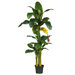 72" Silk Triple Stalk Banana Tree in Green