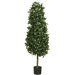 60" Silk Sweet Bay Pyramid Tree in Green
