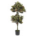54" Silk Croton Topiary Tree