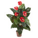 36" Silk Anthurium Plant in Red