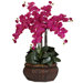 Large Phalaenopsis Silk Flower Arrangement in Beauty