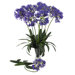 29" African Lily Stem in Purple (Set of 12)