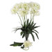 29" African Lily Stem in White (Set of 12)