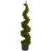 4' Cypress Spiral Silk Tree