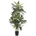 6' Bamboo Palm Silk Tree