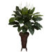 Spathyfillium with Stand Silk Plant