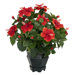 Hibiscus with Black Hexagon Vase Silk Plant