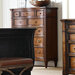 American Kaleidoscope 8 Drawer Chest