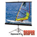Matte White Diplomat / R Portable Screen - 72" x 96" diagonal AV Format