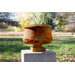 Planter Round Pot Under Ornate Planter