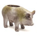 Pig Pot Planter