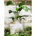 Perfume Square Vase Planter