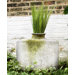 Large Perfume Vase Planter