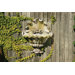 Shell Opera Planter Garden Wall Decor