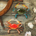 Tropical Crabs Wall Sculpture (Set of 2)