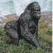 Gorilla of The Congo Statue