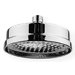 ShowerHaus 8" Watering Can Shower Head