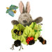 Rabbit in a Lettuce Hide-Away Puppet (with 6 Mini Beasts)