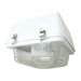 250W Canopy Pulse Start Flush Mounting White