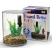 Mini Round Aquarium Betta Kit