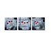 Radiance Cora Canvas Art (Set of 3)