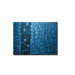 Radiance Shania Canvas Art